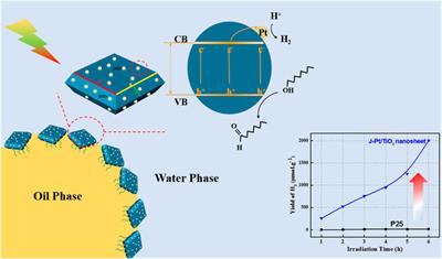 Robust Hydrogen Production via Pickering Interfacial Catalytic Photoreforming of n-Octanol-Water Biphasic System